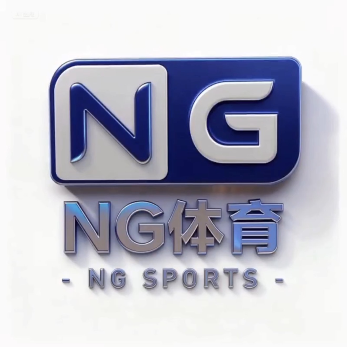 NG体育